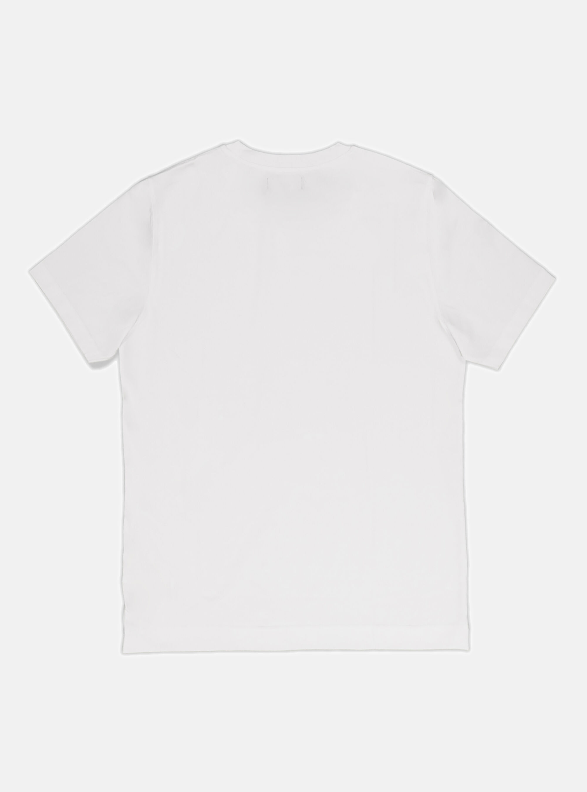 Cotton jersey half sleeve t-shirt, WHITE