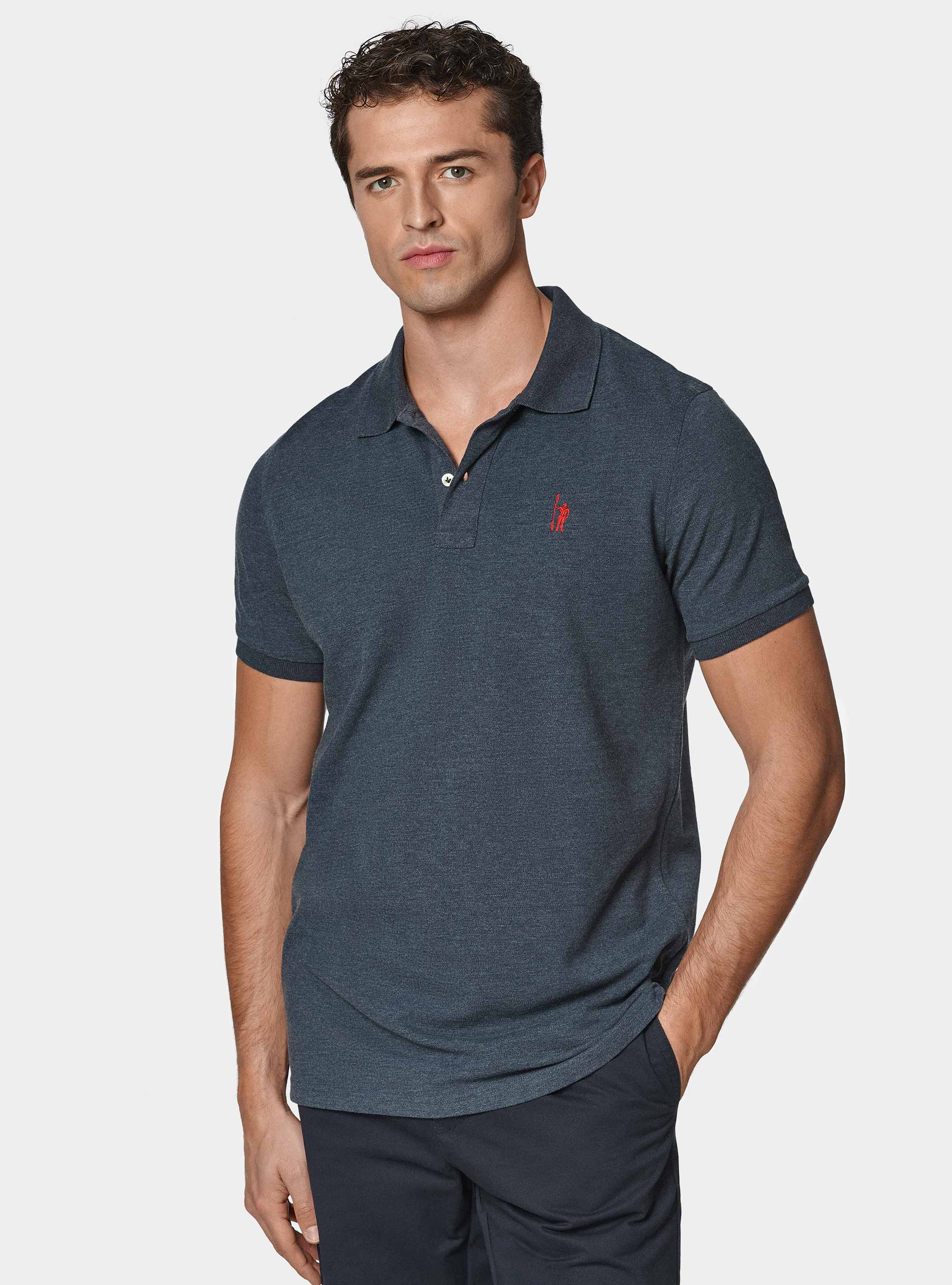 Polo classique en piqu&eacute;, ENCRE