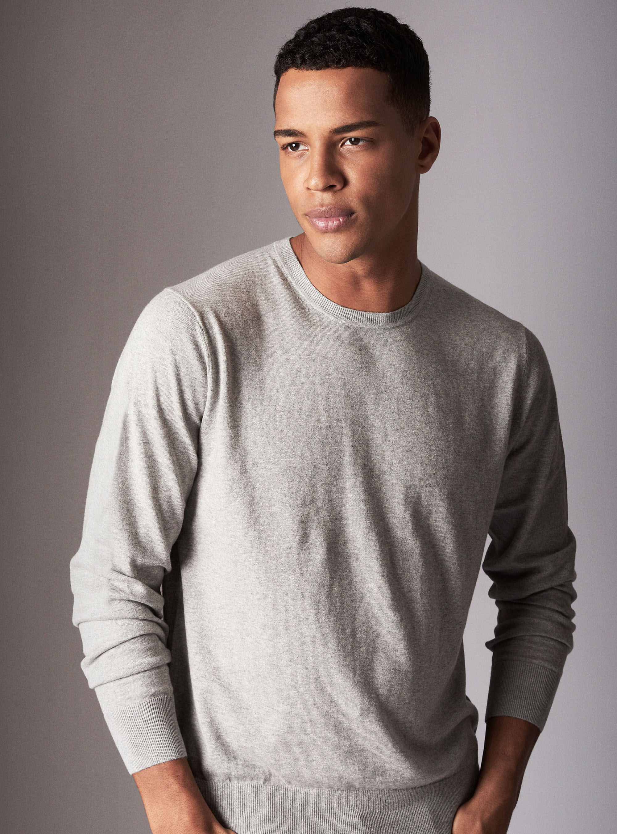 Maglia girocollo basica in cotone seta e cashmere, GRIGIO CHIARO MELANGE