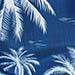 BLUE 0241C