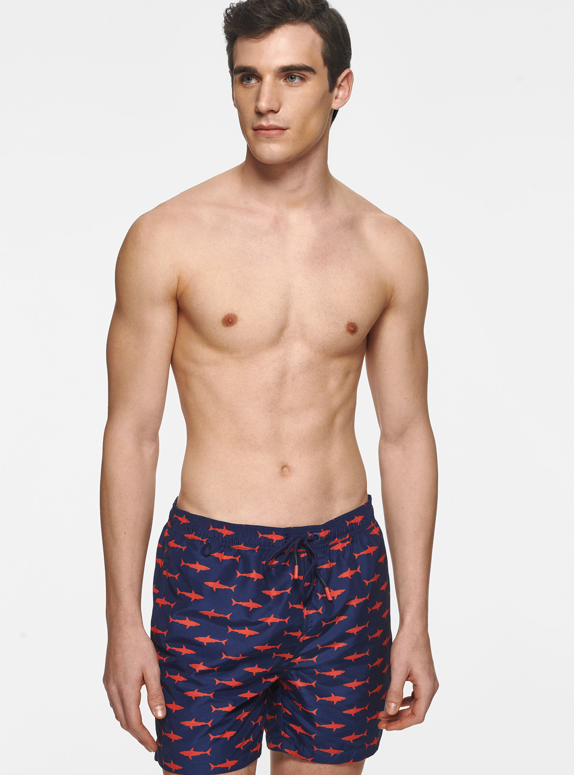 Swimwear with sharks, BLUE ROYAL