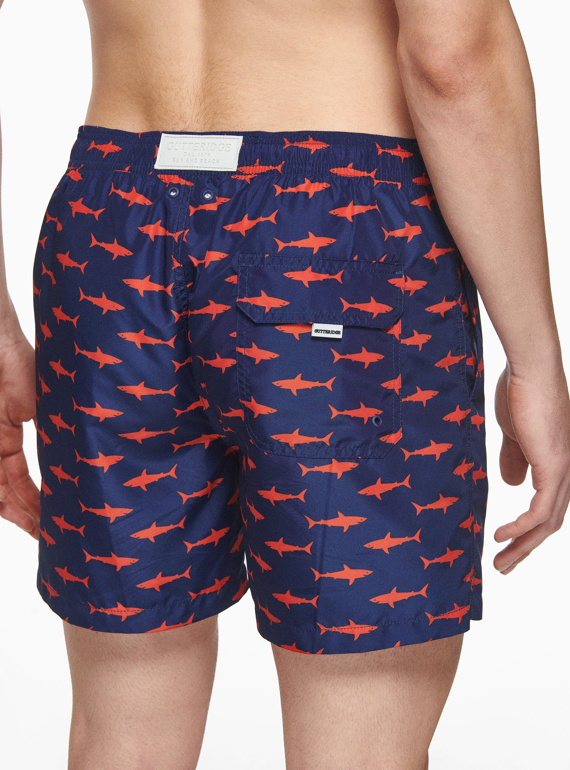 Swimwear with sharks, BLUE ROYAL
