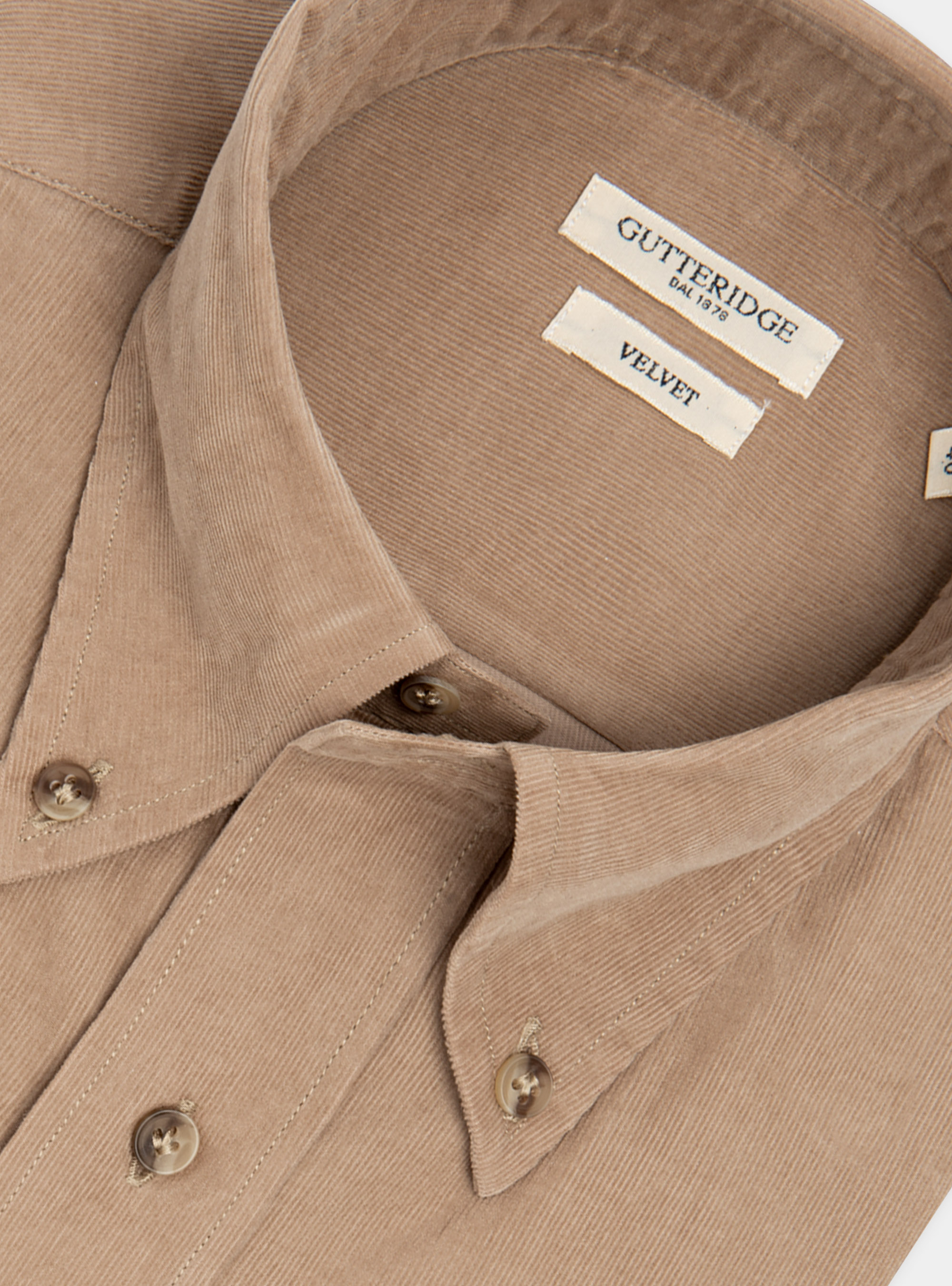 Velvet button down collar shirt, SAND