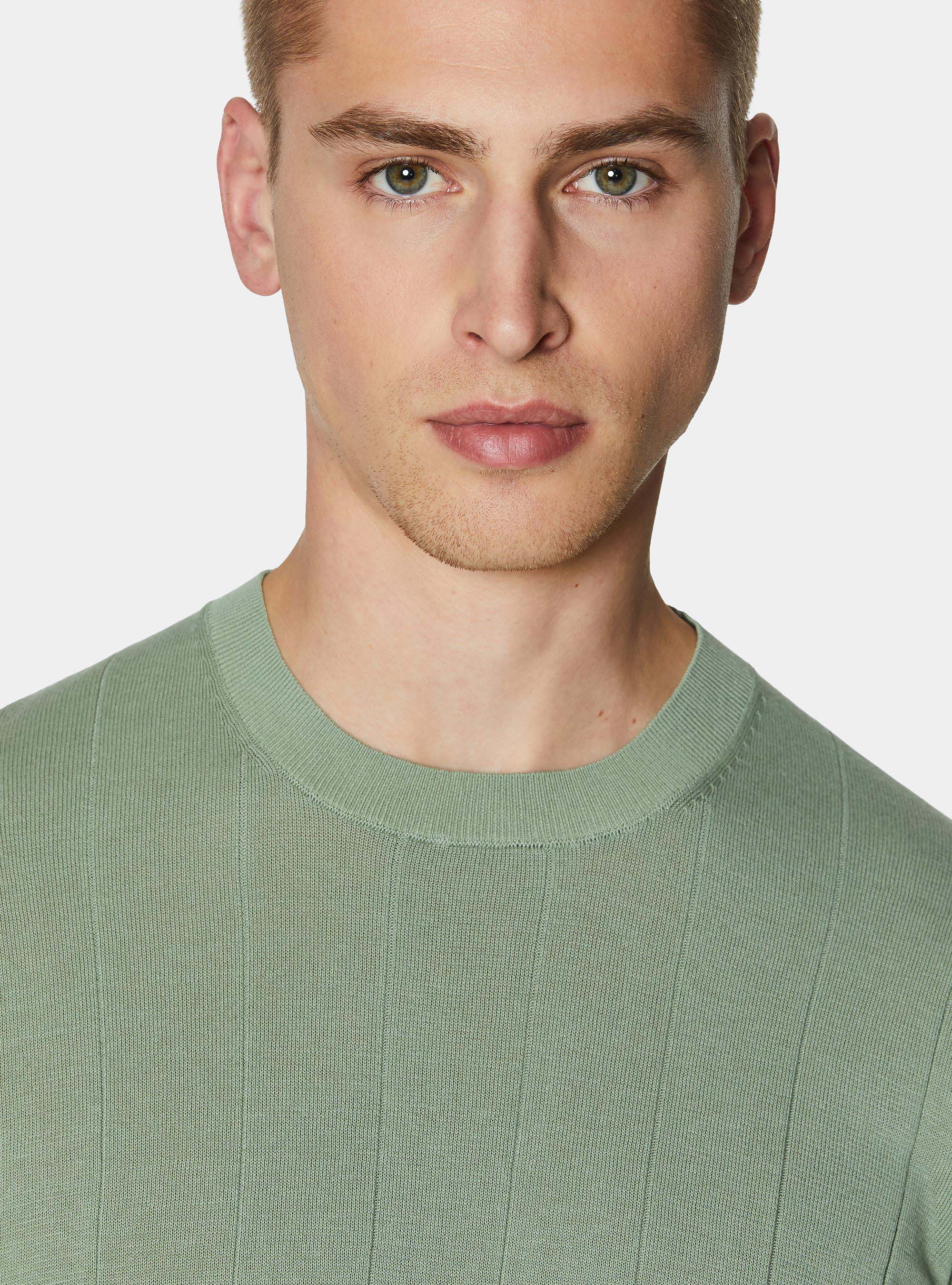 Pure cotton flat-ribbed sweater, SALVIA 0602C