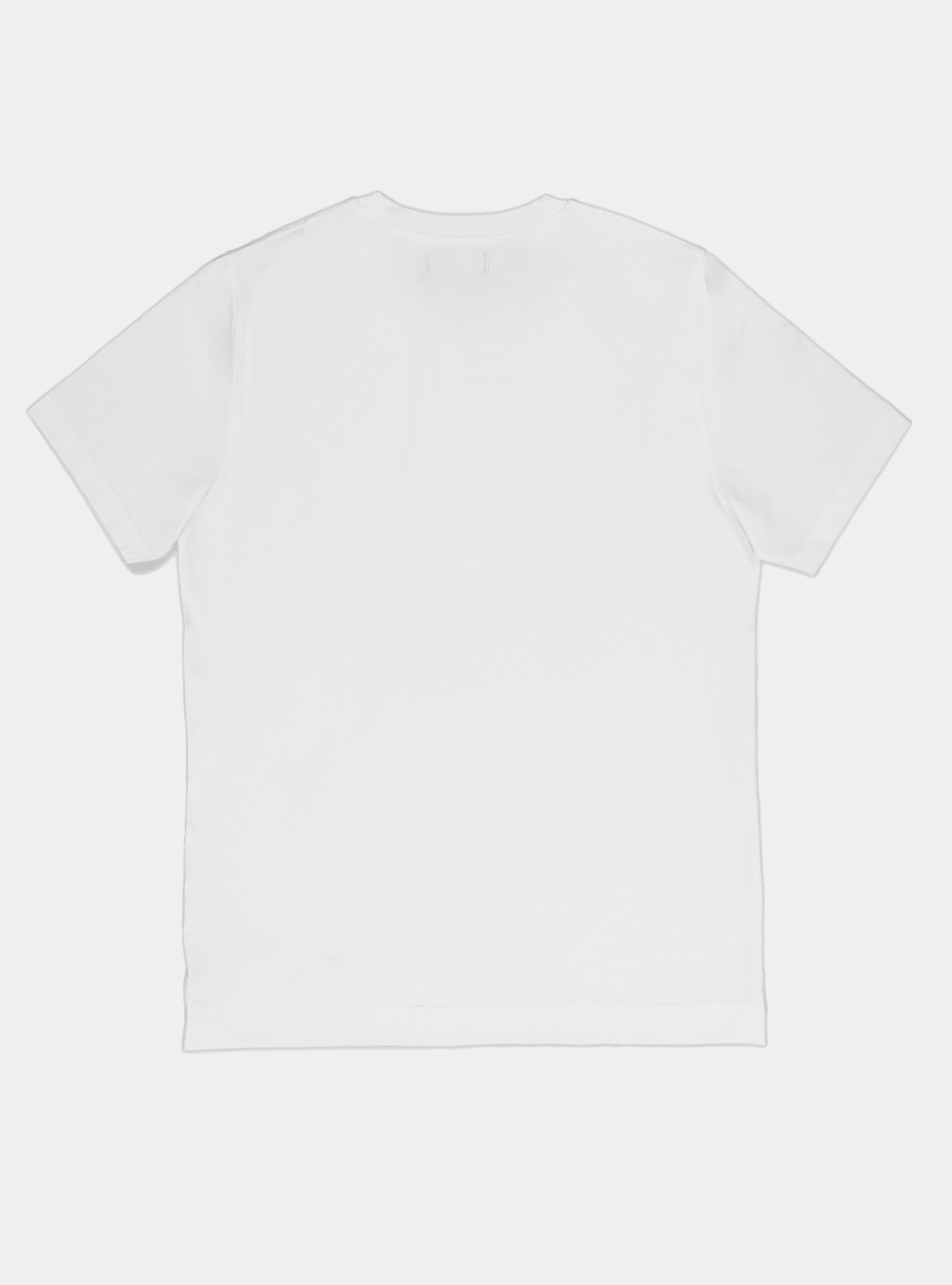 Tshirt in jersey di cotone tinta unita, BIANCO