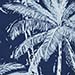 NAVY 0218C