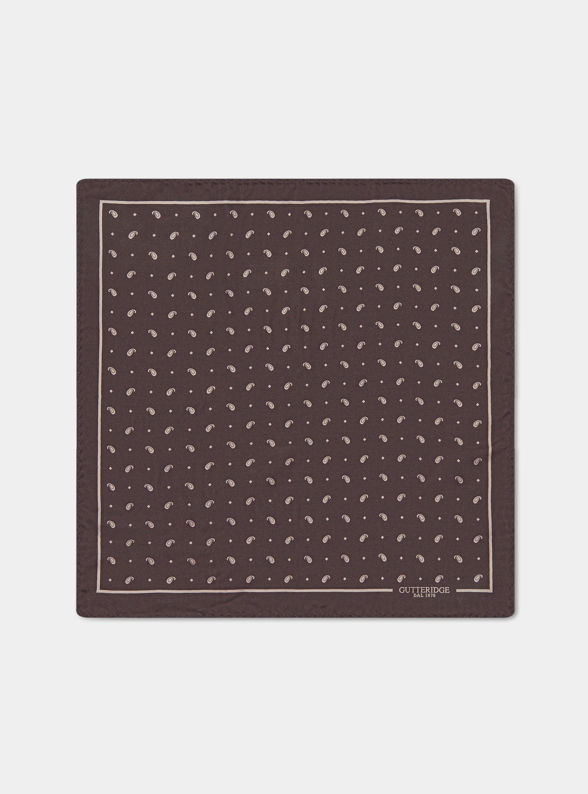 Printed silk paisley pocket square, BROWN/ECRU B093