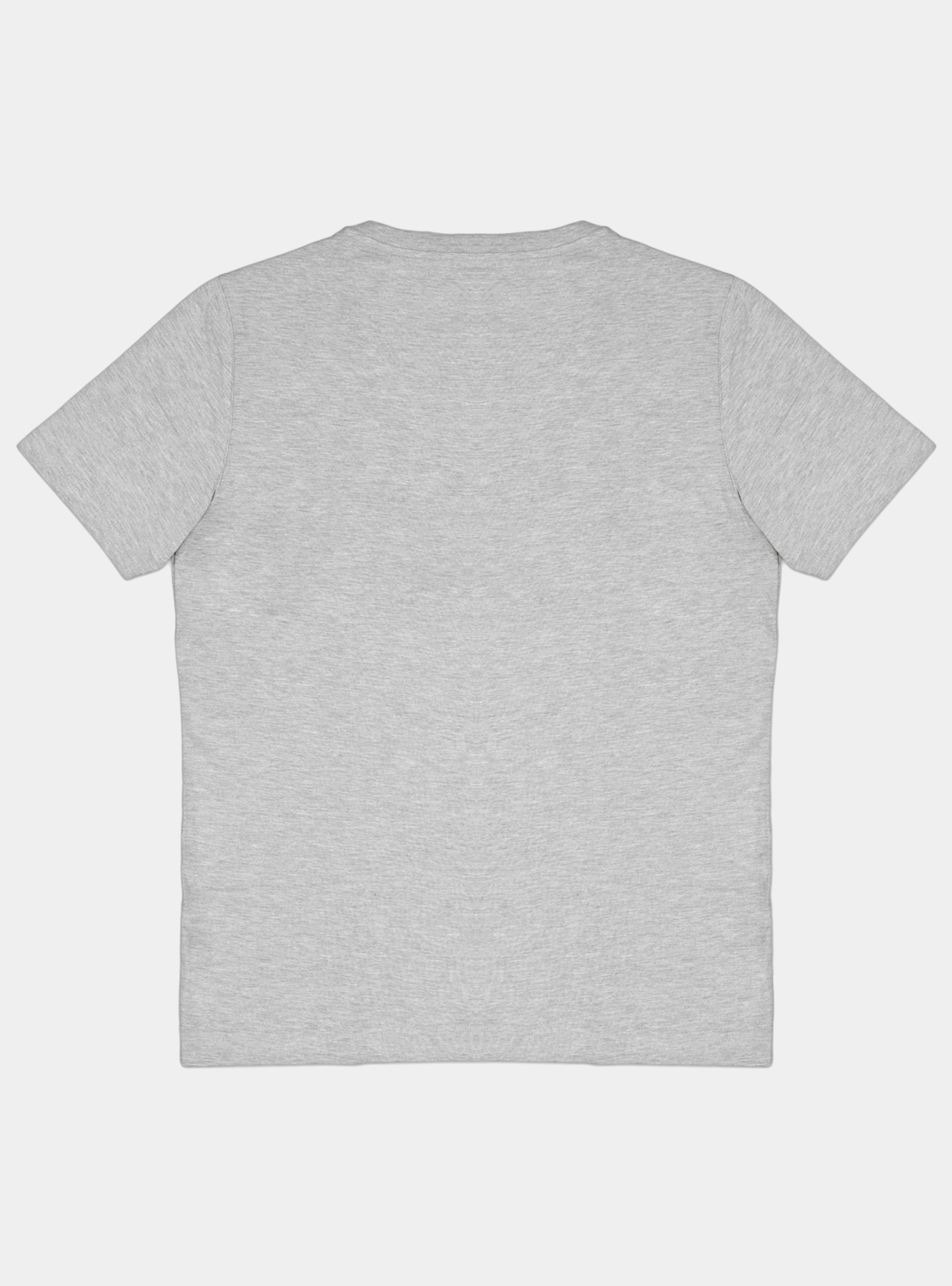 Tshirt in jersey di cotone tinta unita, GRIGIO CHIARO