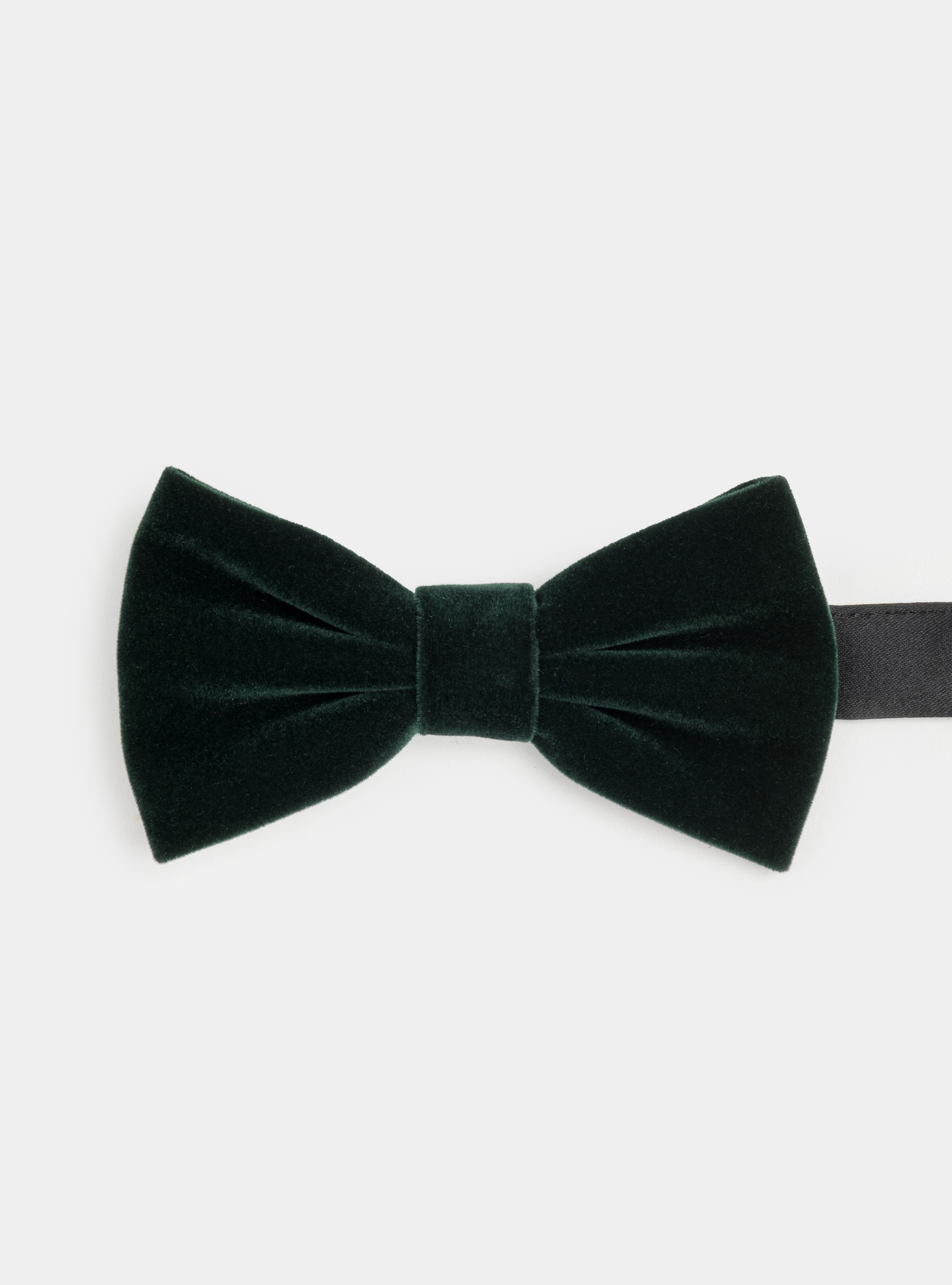 Velours Papillon, VERT